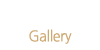 둘러보기 둘러보기
